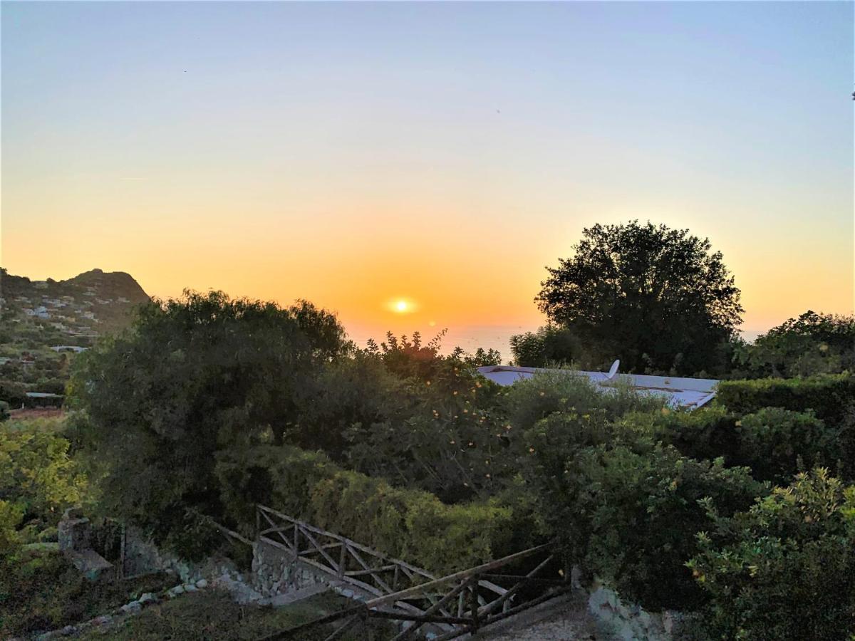 Villetta Con Giardino Esclusivo Di 1000 Mq, Piscina, Tennis, Calcio, Bocce Forio di Ischia Exterior foto