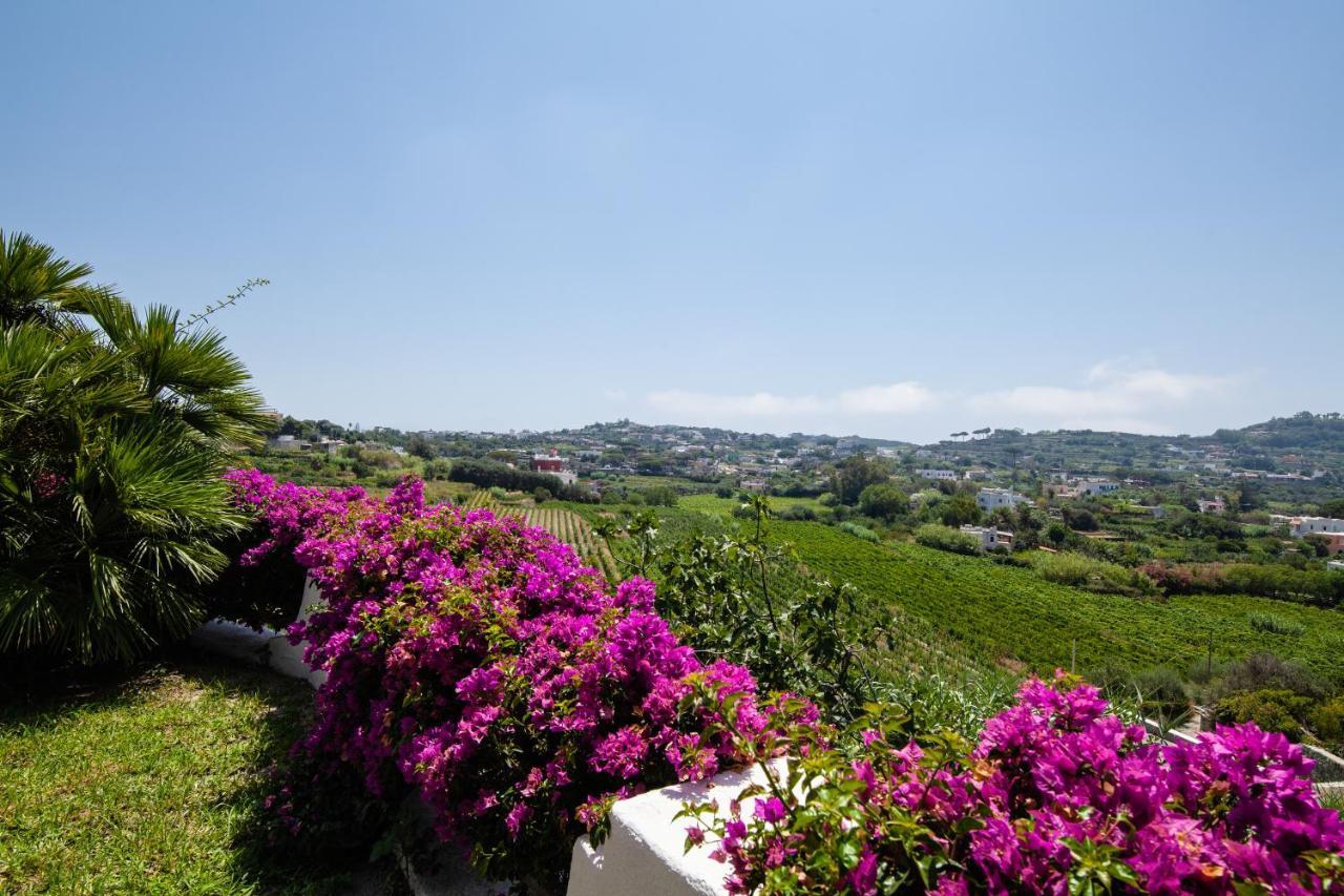 Villetta Con Giardino Esclusivo Di 1000 Mq, Piscina, Tennis, Calcio, Bocce Forio di Ischia Exterior foto