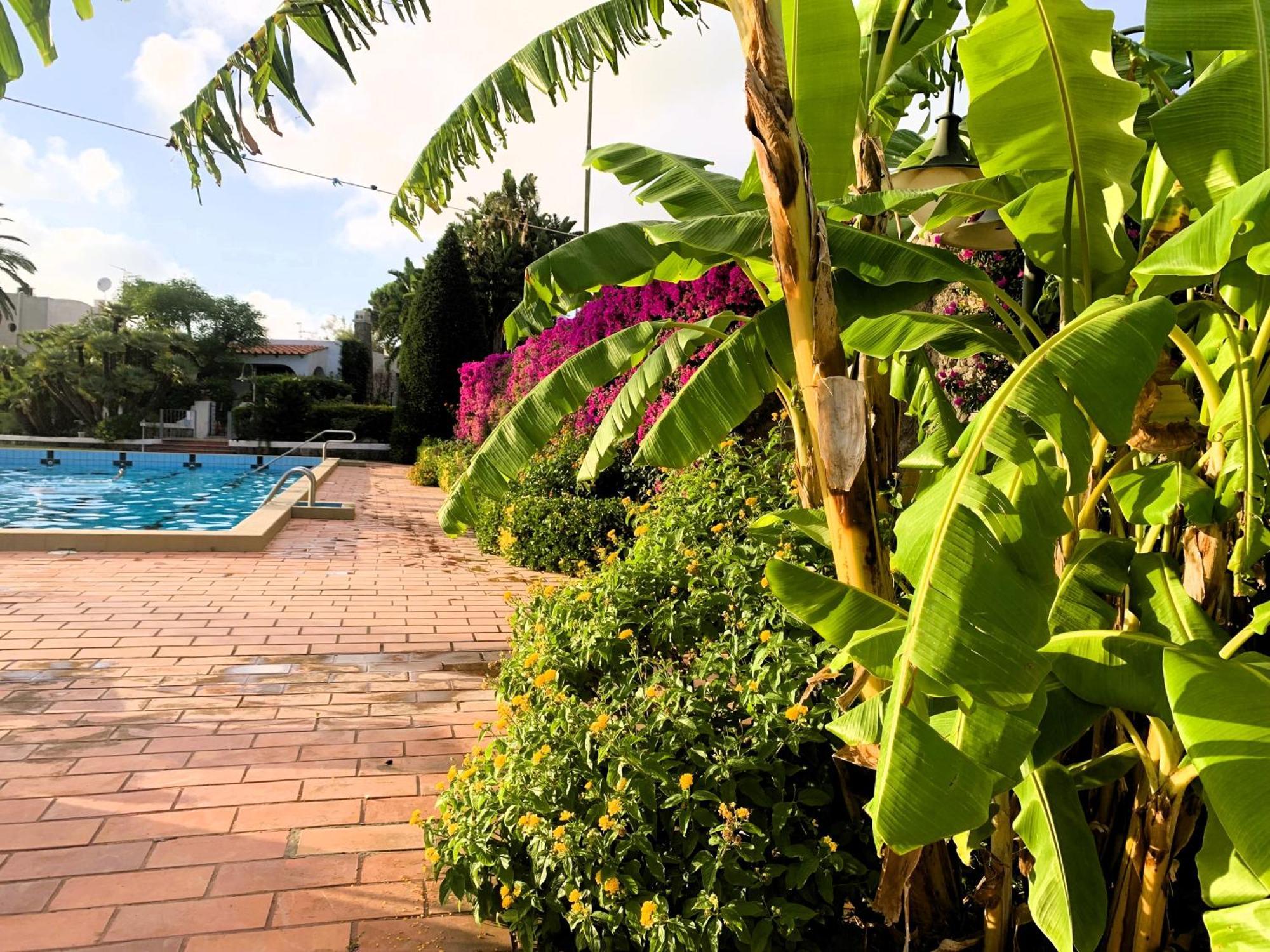 Villetta Con Giardino Esclusivo Di 1000 Mq, Piscina, Tennis, Calcio, Bocce Forio di Ischia Exterior foto