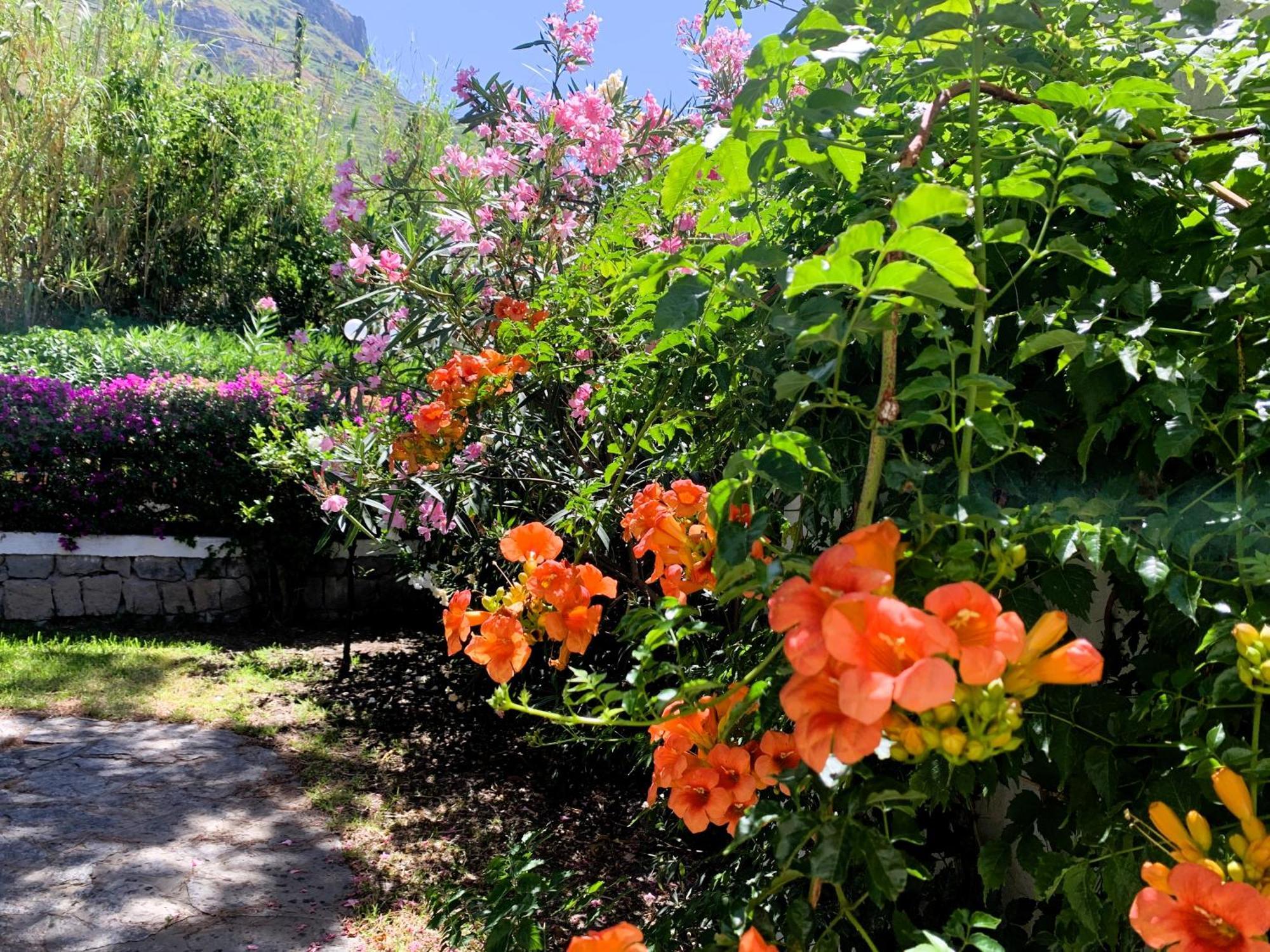 Villetta Con Giardino Esclusivo Di 1000 Mq, Piscina, Tennis, Calcio, Bocce Forio di Ischia Exterior foto