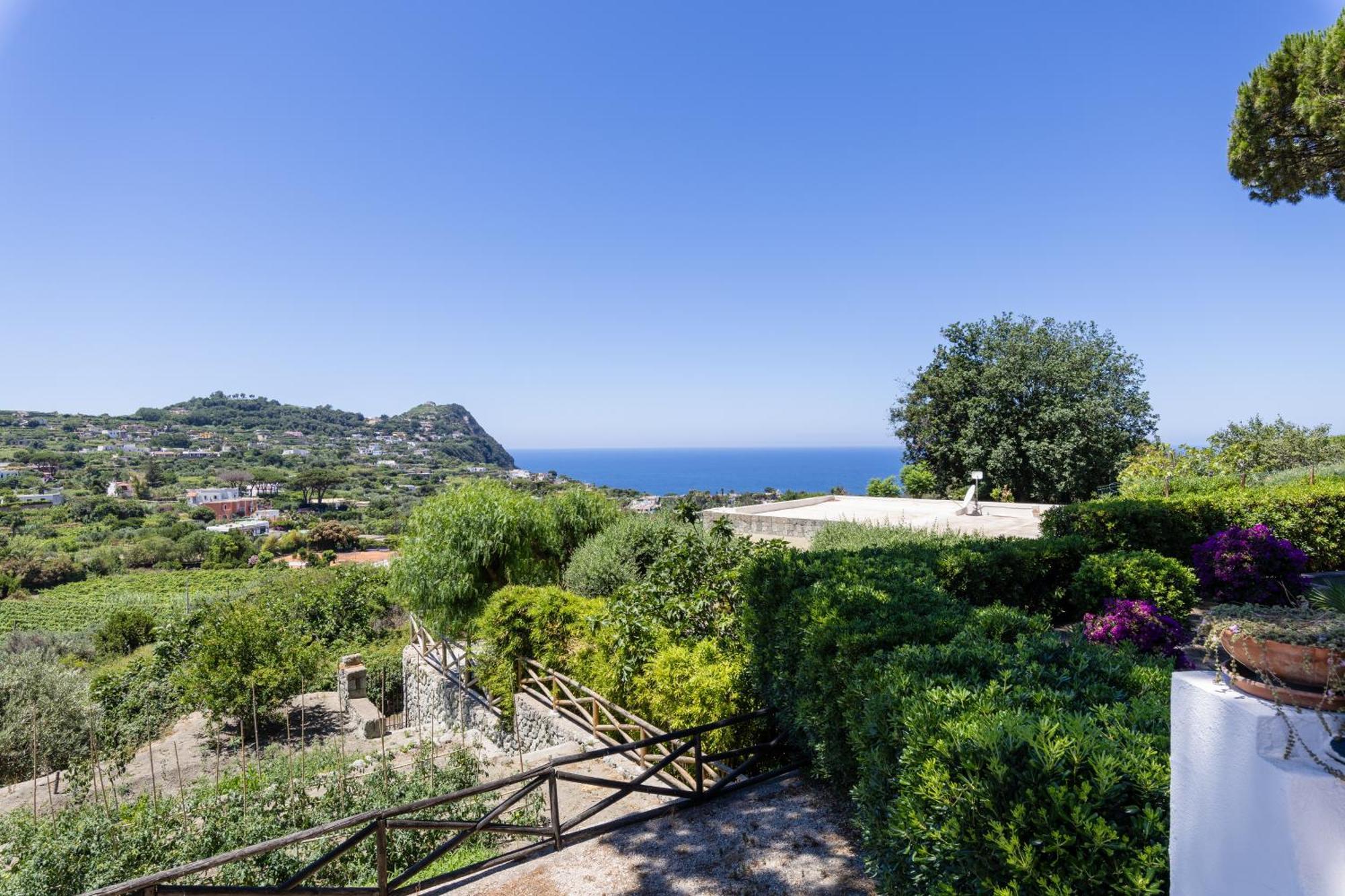 Villetta Con Giardino Esclusivo Di 1000 Mq, Piscina, Tennis, Calcio, Bocce Forio di Ischia Exterior foto