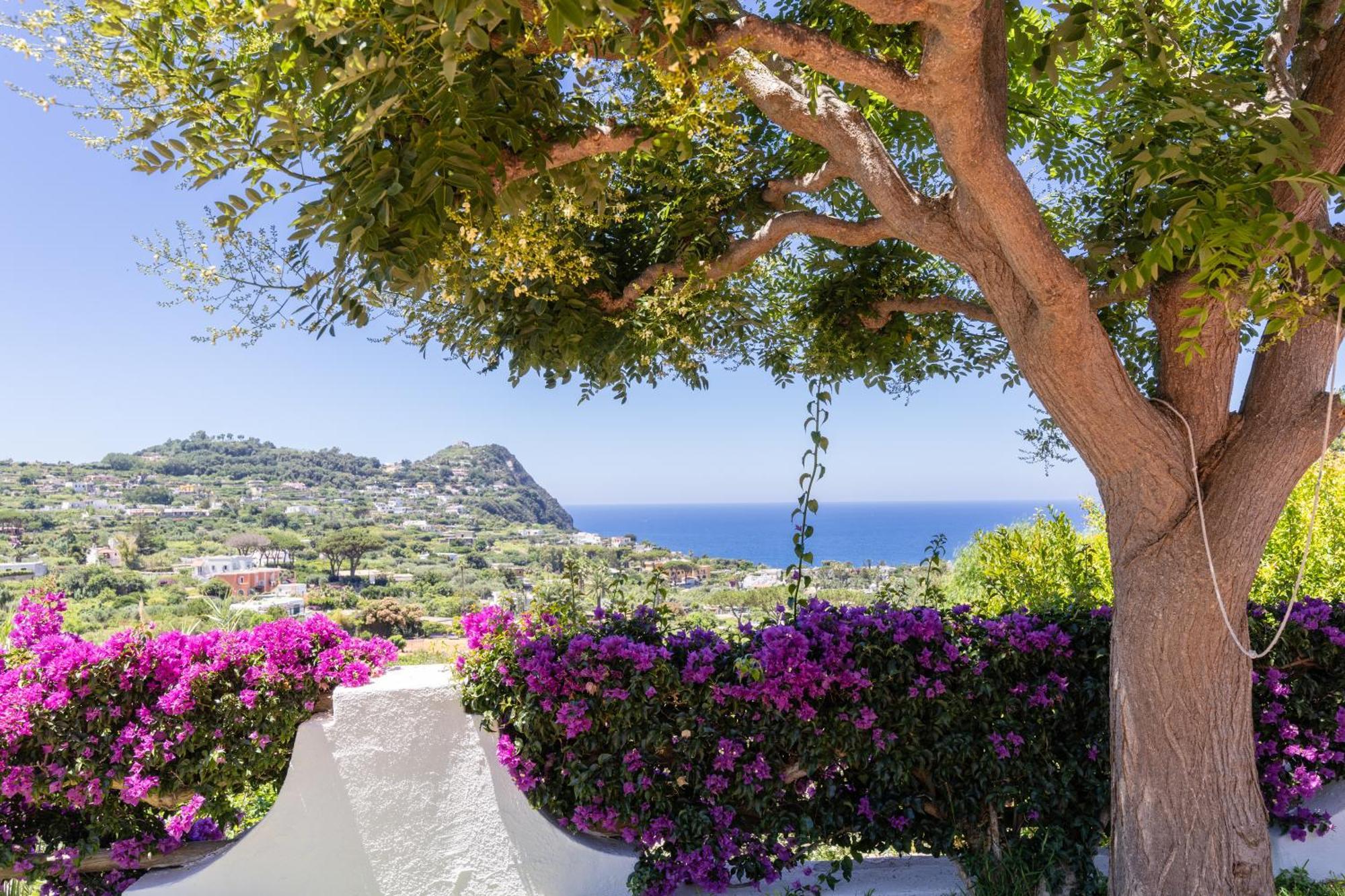 Villetta Con Giardino Esclusivo Di 1000 Mq, Piscina, Tennis, Calcio, Bocce Forio di Ischia Exterior foto